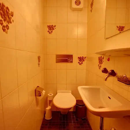 Chesa Munteratsch 2-zimmerwohnung 102 Typ E Apartment *