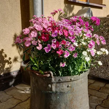 Apartment Chesa Munteratsch 2-zimmerwohnung 102 Typ E