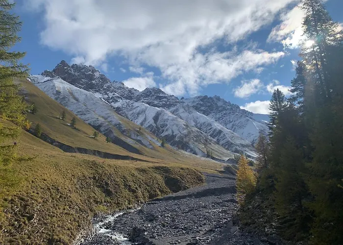 Chesa Munteratsch 2-zimmerwohnung 102 Typ E Silvaplana