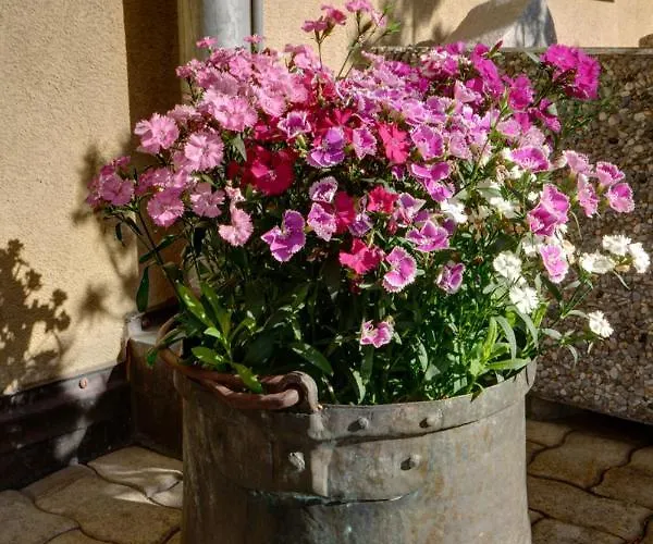 Apartman Chesa Munteratsch 2-zimmerwohnung 102 Typ E