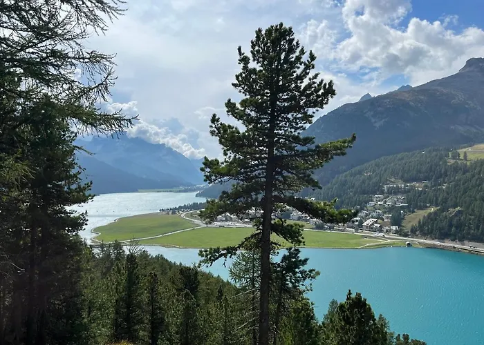 Chesa Munteratsch 2-zimmerwohnung 102 Typ E Silvaplana