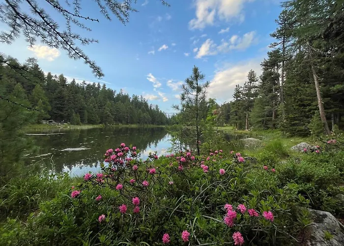 Apartman Chesa Munteratsch 2-zimmerwohnung 102 Typ E