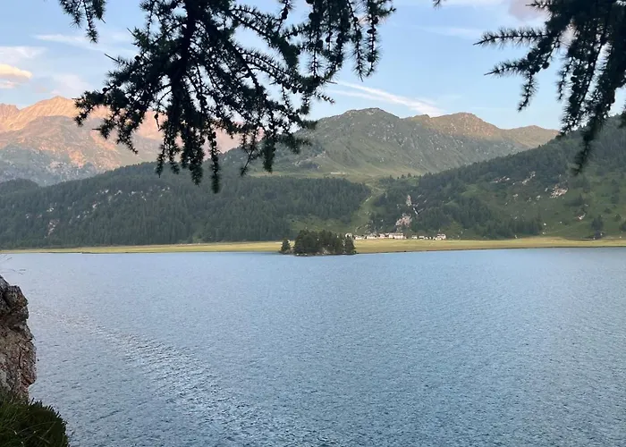 Chesa Munteratsch 2-zimmerwohnung 102 Typ E