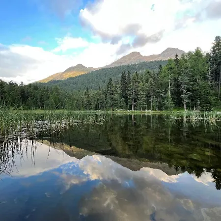 Chesa Munteratsch 2-zimmerwohnung 102 Typ E