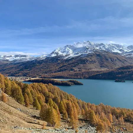 Apartment Chesa Munteratsch 2-zimmerwohnung 102 Typ E Silvaplana