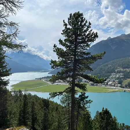 Chesa Munteratsch 2-zimmerwohnung 102 Typ E Silvaplana