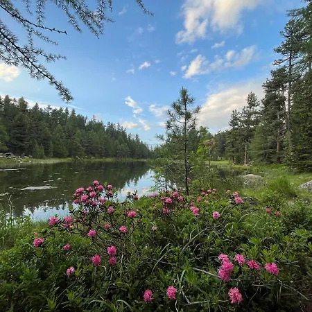 Apartment Chesa Munteratsch 2-zimmerwohnung 102 Typ E