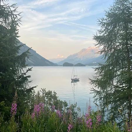 Chesa Munteratsch 2-zimmerwohnung 102 Typ E Apartment *